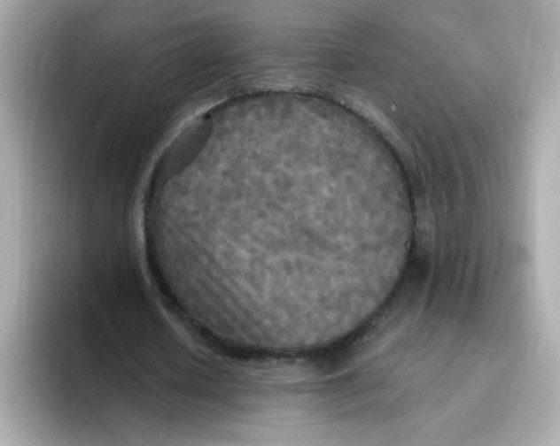 X0000094790626200711301607