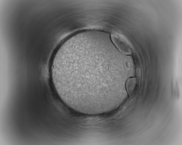 X0000094790628200711301607