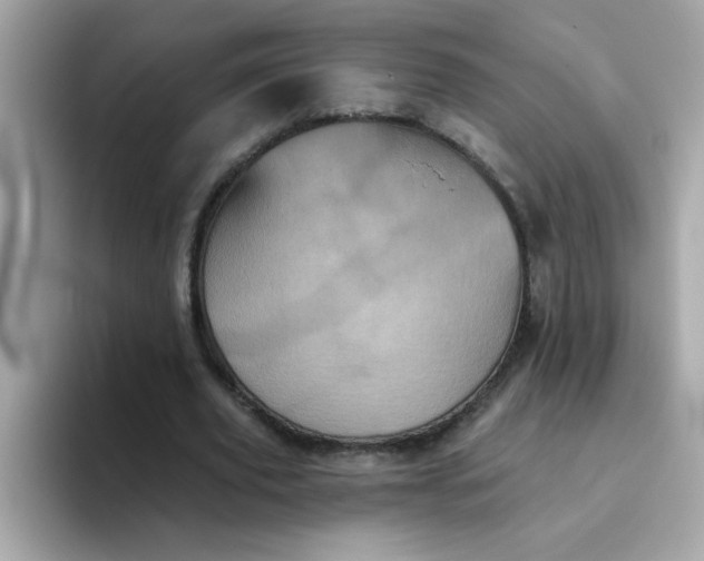 X0000094790629200711301607