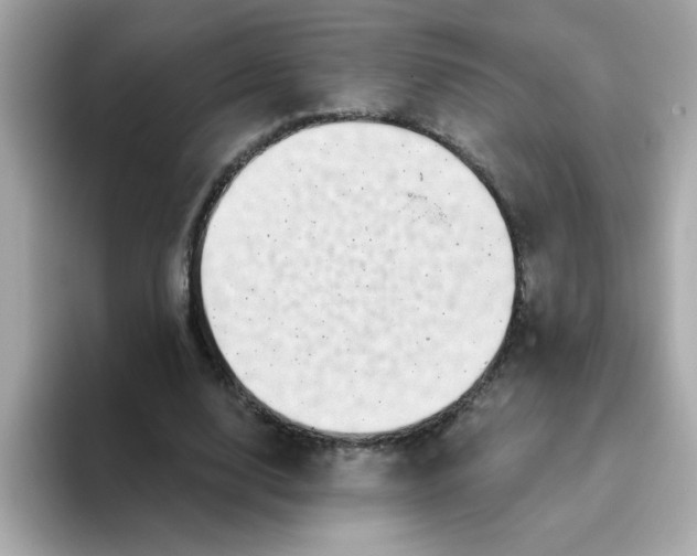 X0000094790632200711301607