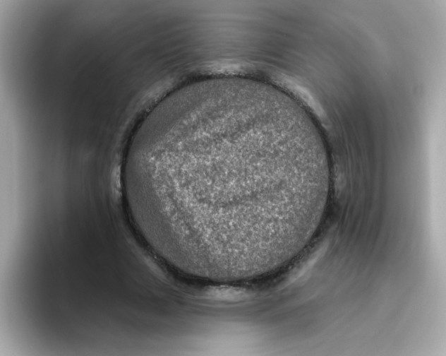 X0000094790633200711301607