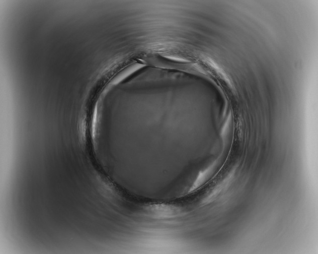 X0000094790637200711301607