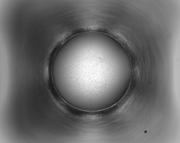 X0000094790638200711301607