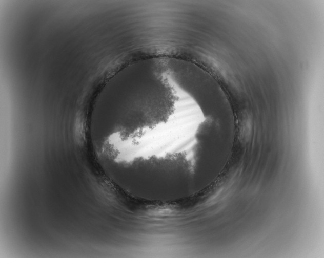 X0000094790643200711301607