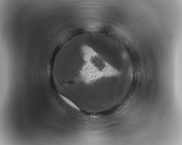 X0000094790647200711301607