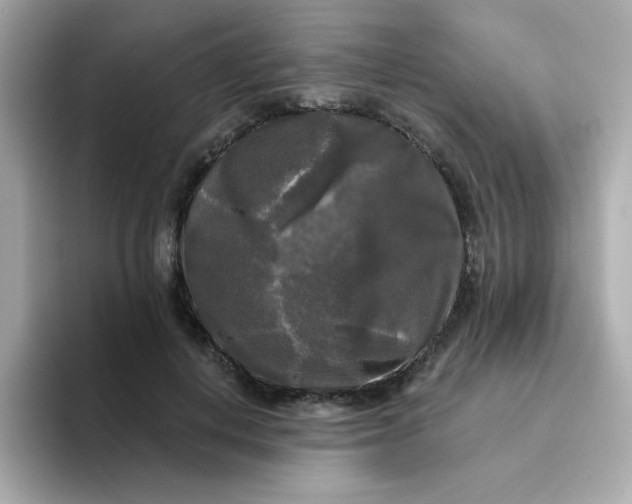 X0000094790648200711301607