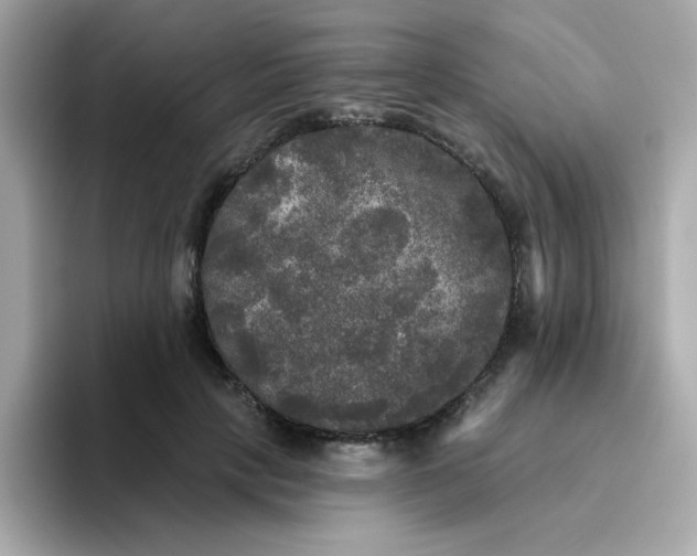 X0000094790649200711301607