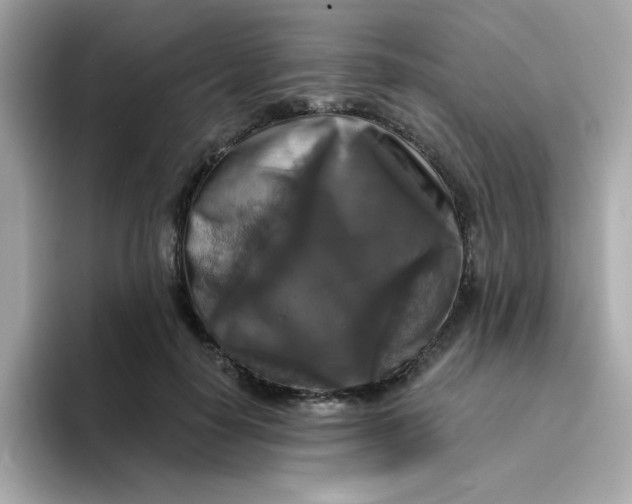 X0000094790650200711301607