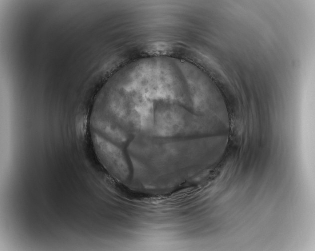 X0000094790652200711301607