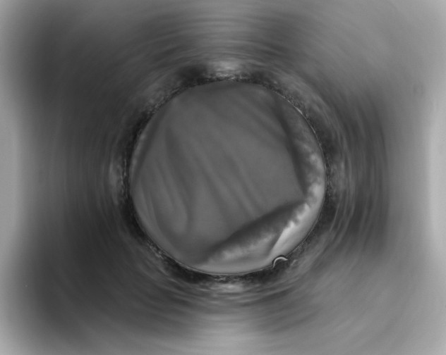 X0000094790653200711301607