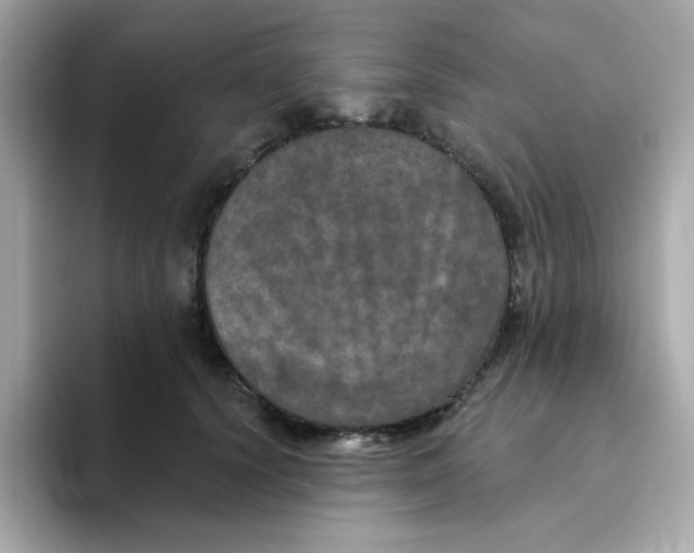 X0000094790656200711301607