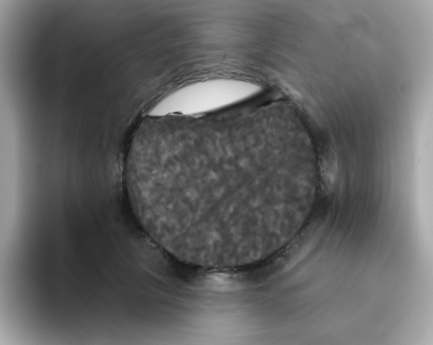 X0000094790657200711301607