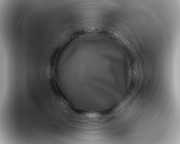 X0000094790659200711301607