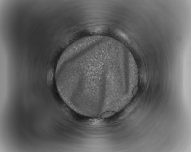 X0000094790660200711301607