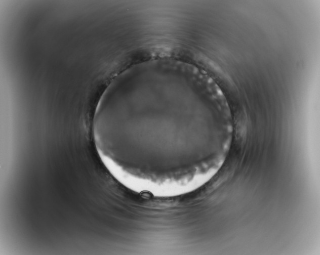 X0000094790661200711301607