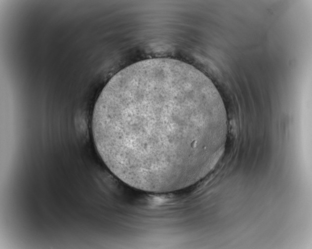 X0000094790662200711301607