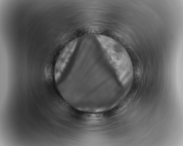 X0000094790663200711301607