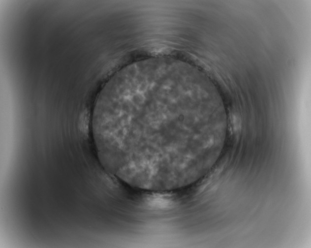 X0000094790664200711301607