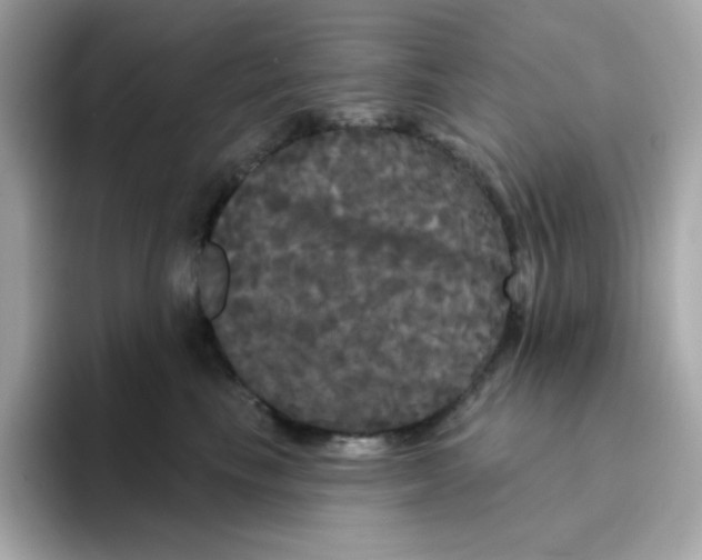 X0000094790665200711301607