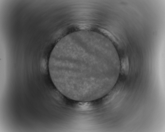 X0000094790667200711301607