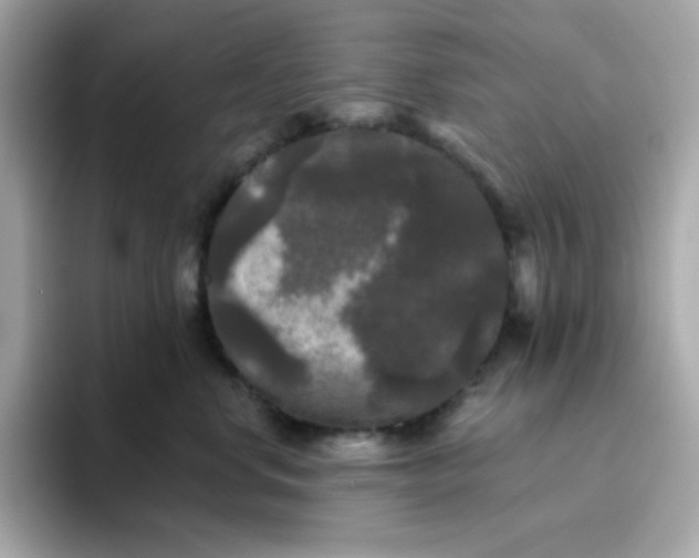 X0000094790668200711301607