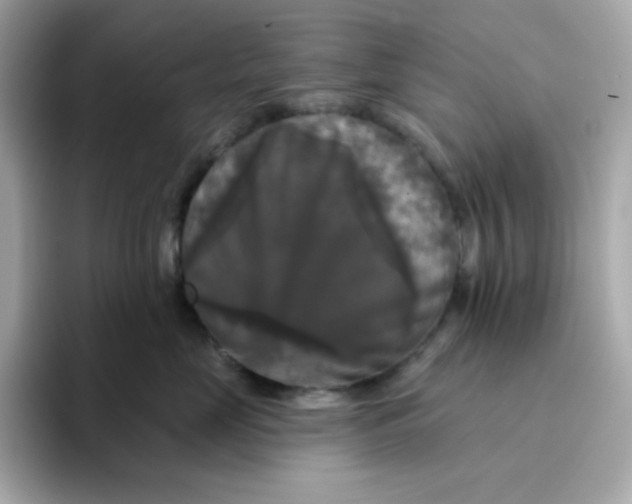 X0000094790669200711301607