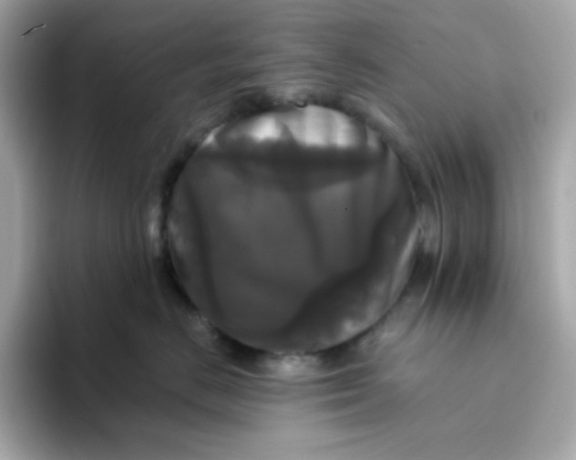 X0000094790670200711301607