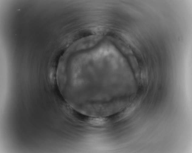 X0000094790671200711301607