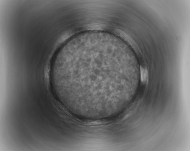 X0000094790675200711301607