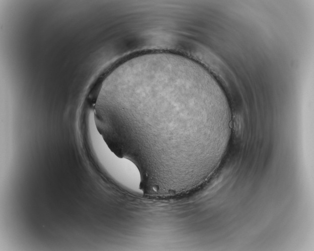 X0000094790676200711301607