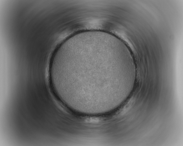 X0000094790677200711301607