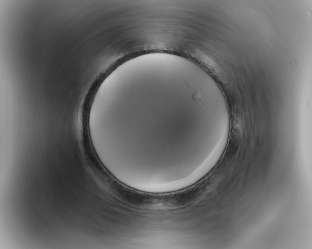 X0000094790678200711301607