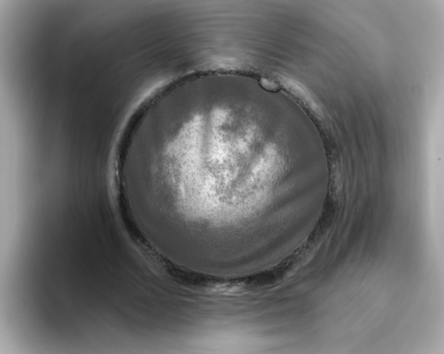 X0000094790680200711301607