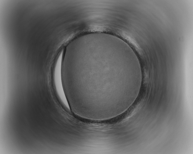 X0000094790681200711301607