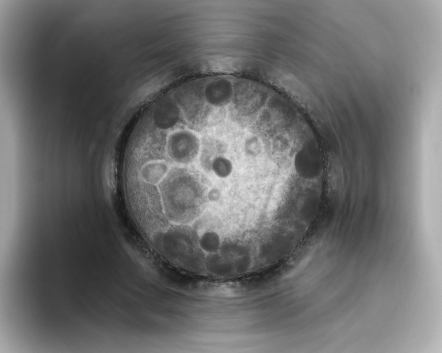 X0000094790683200711301607