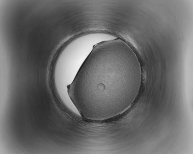 X0000094790684200711301607