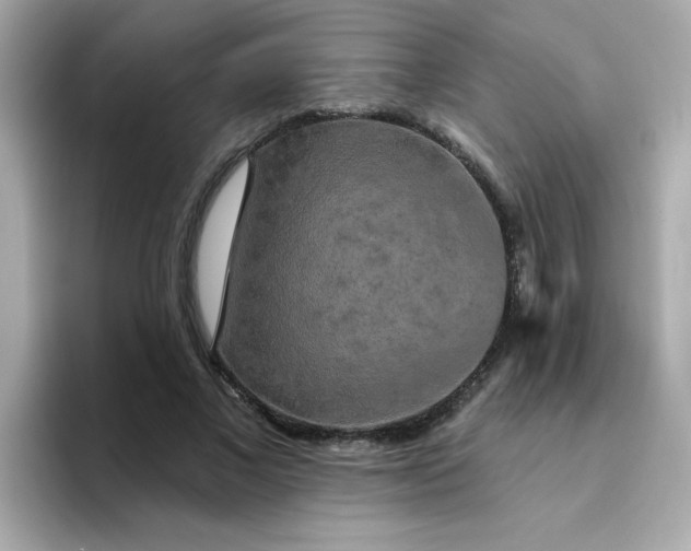 X0000094790685200711301606