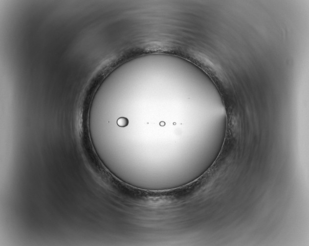 X0000094790686200711301606