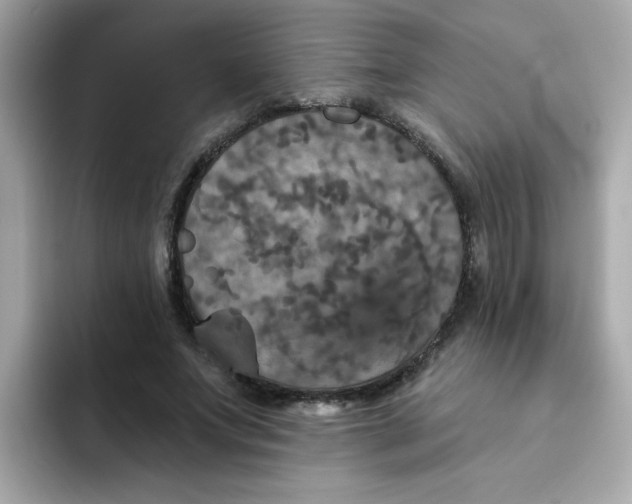 X0000094790687200711301606