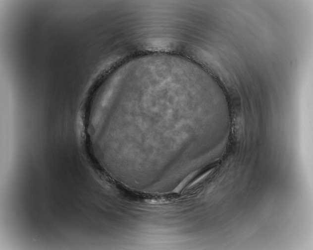 X0000094790688200711301606