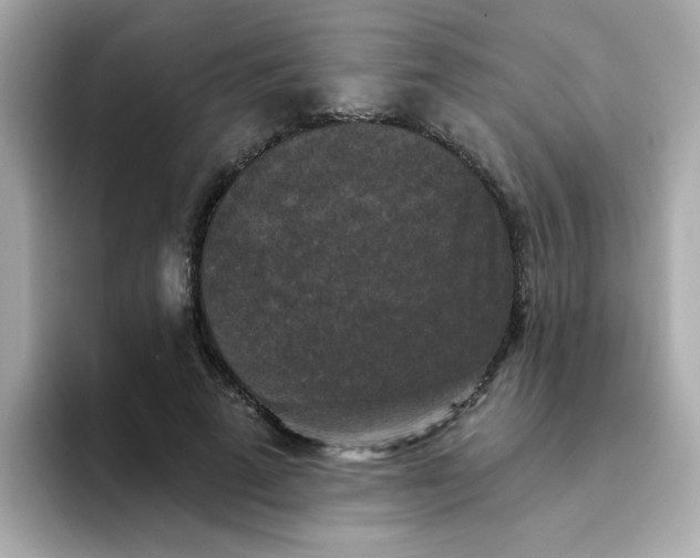 X0000094790689200711301606