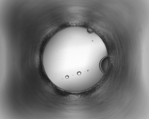 X0000094790690200711301606