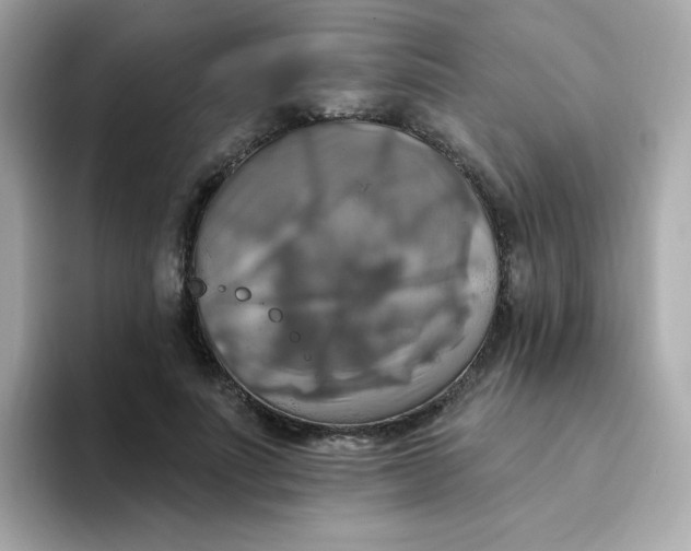 X0000094790691200711301606