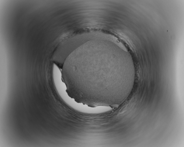 X0000094790693200711301606