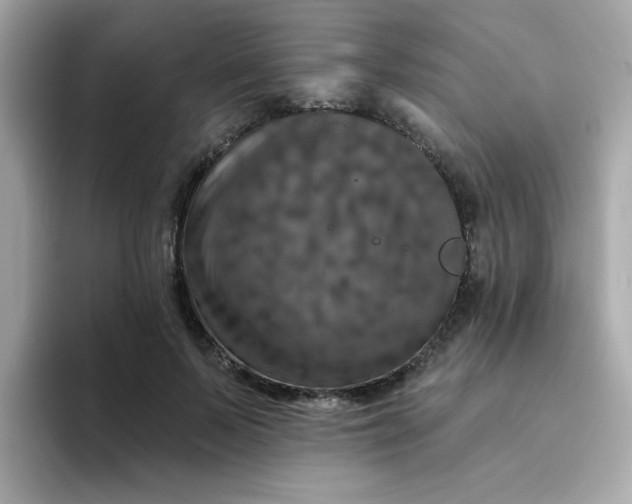 X0000094790695200711301606