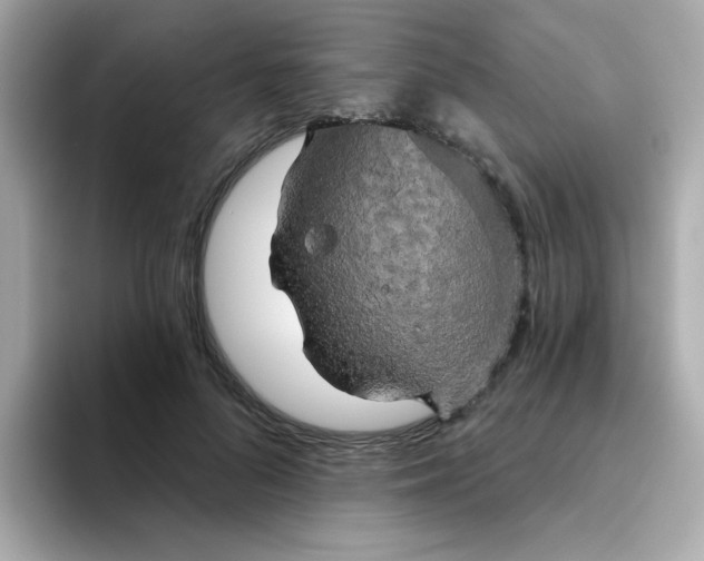 X0000094790696200711301606