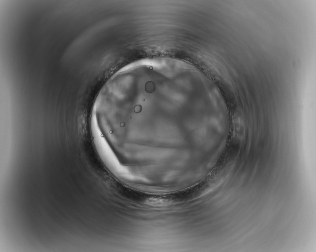 X0000094790699200711301606