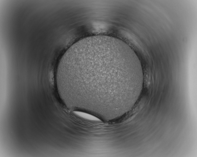 X0000094790700200711301606