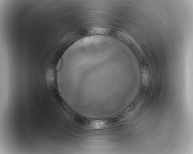 X0000094790701200711301606