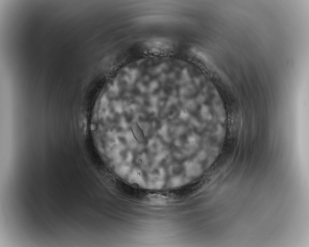 X0000094790703200711301606